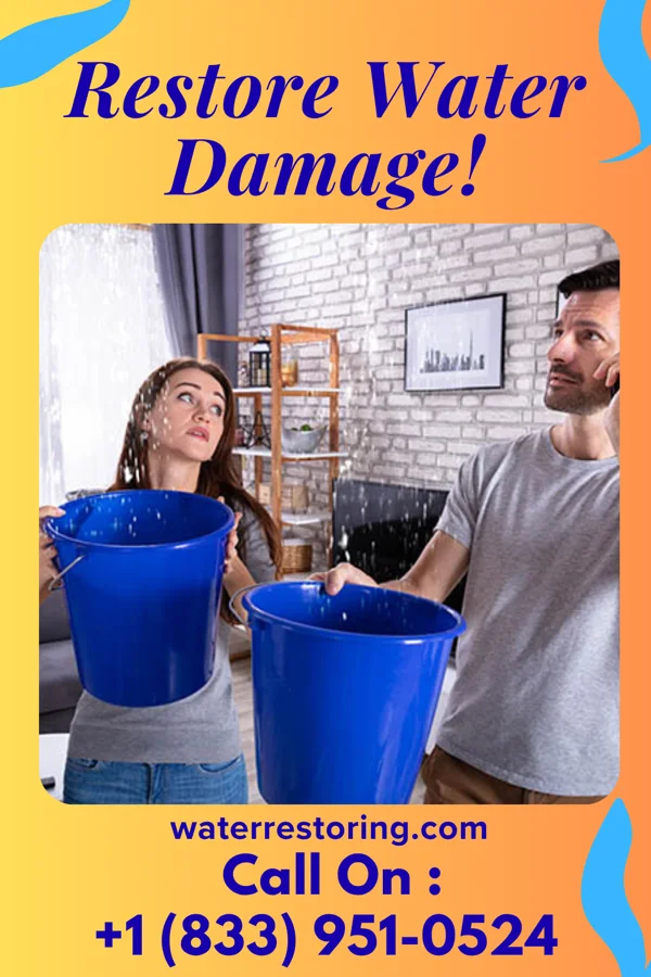 water restoration Zenith Water Cleanup Co Darbyville
