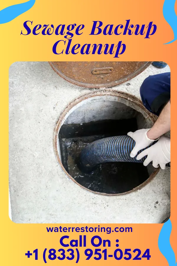 Sewage Backup Cleanup in Darbyville, OH