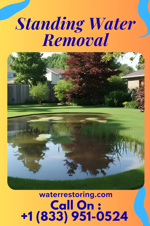 Standing Water Removal in Darbyville, OH